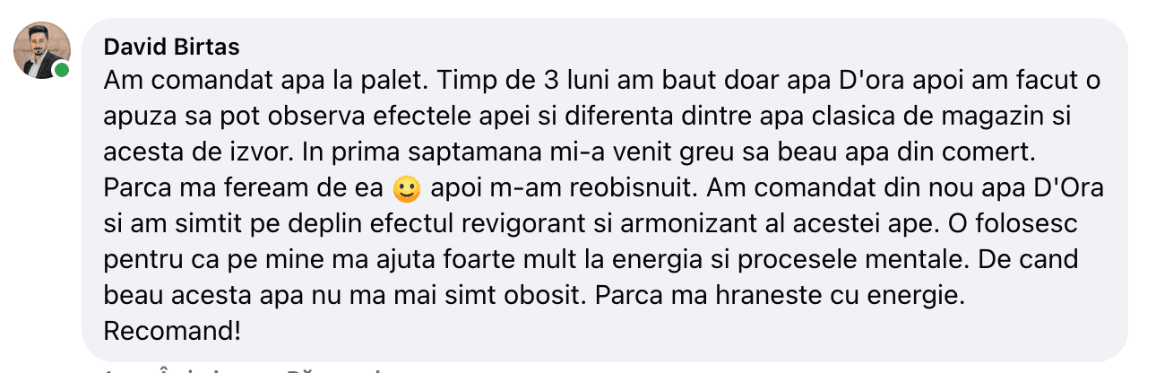 Recenzie David Birtas