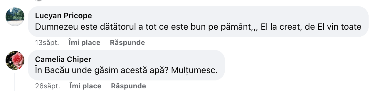 Recenzie Viky Seni conversatie